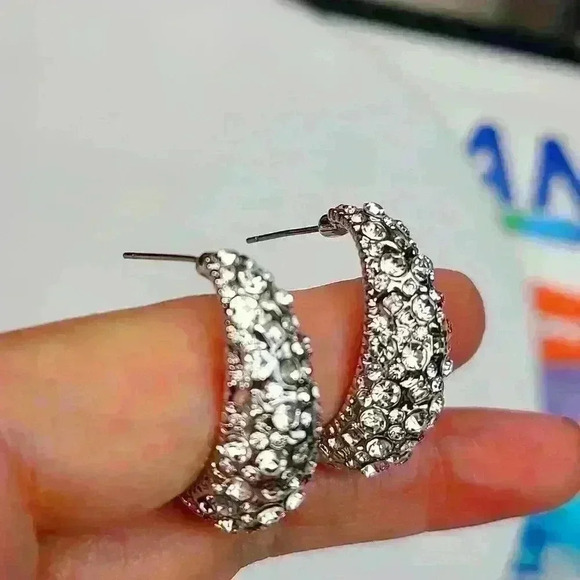 Slivertone rehnistones half moon earrings - Picture 3 of 11